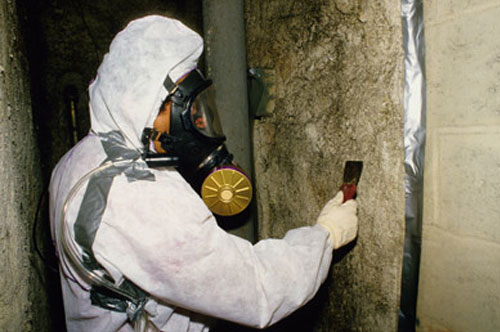 Asbestos removal company
